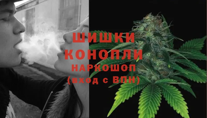 как найти   Бокситогорск  Марихуана THC 21% 